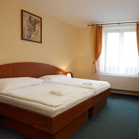 Hotell Palace 3*