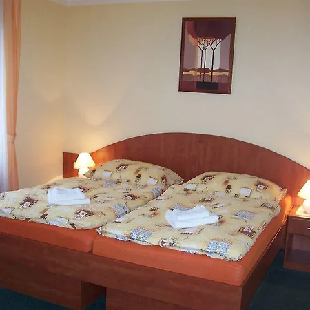 Hotell Palace 3*