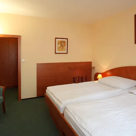 ホテル Palace プルゼニ